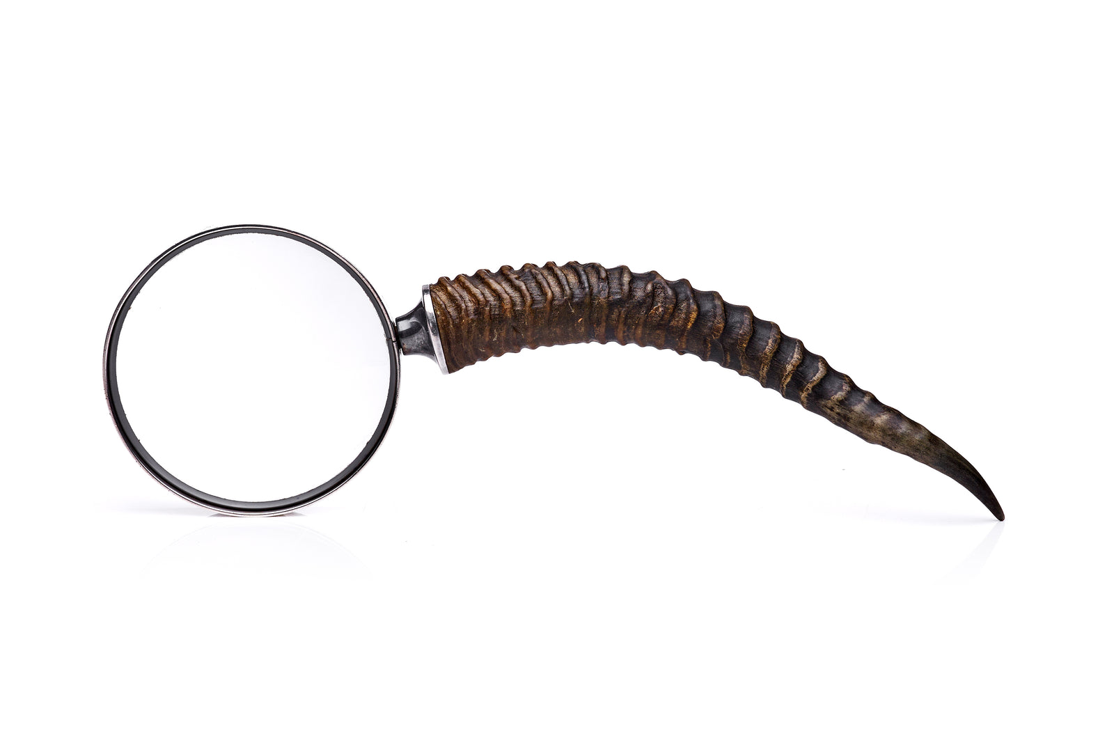 Hermes Horn Magnifier