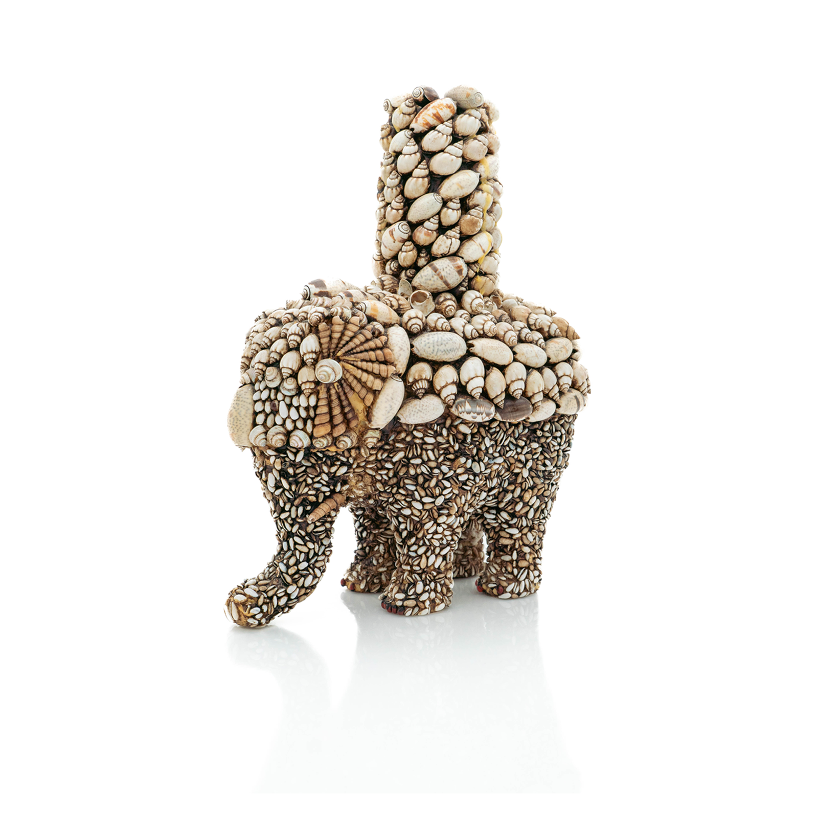 Elephant Shell Box, Anthony Redmile