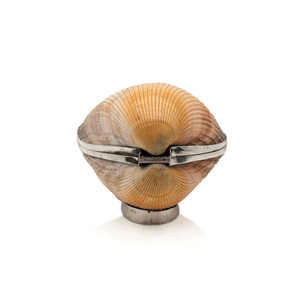 Italian Sterling Shell Box
