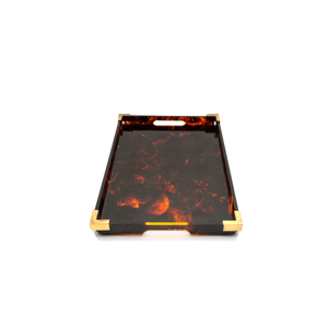 Christian Dior Tortoise Tray