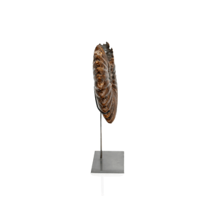 Fossil on Stand