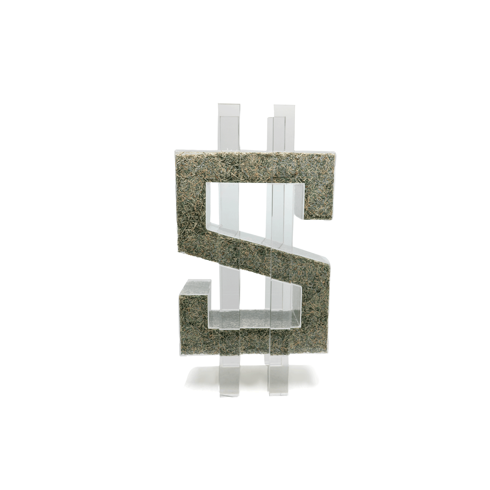 Lucite Shredded Money Sign