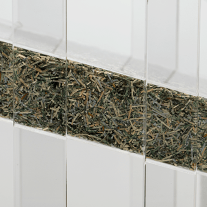 Lucite Shredded Money Sign