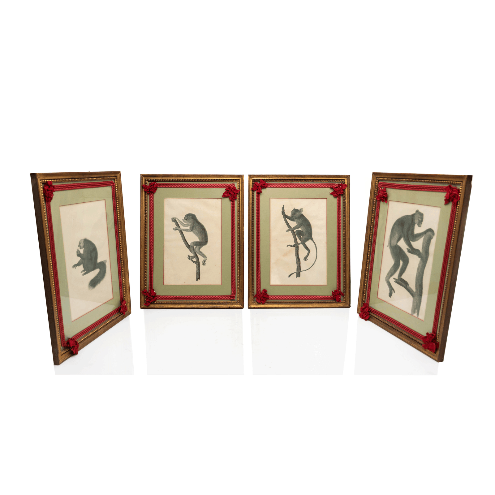 Jean Baptiste Audebert, Monkey Prints