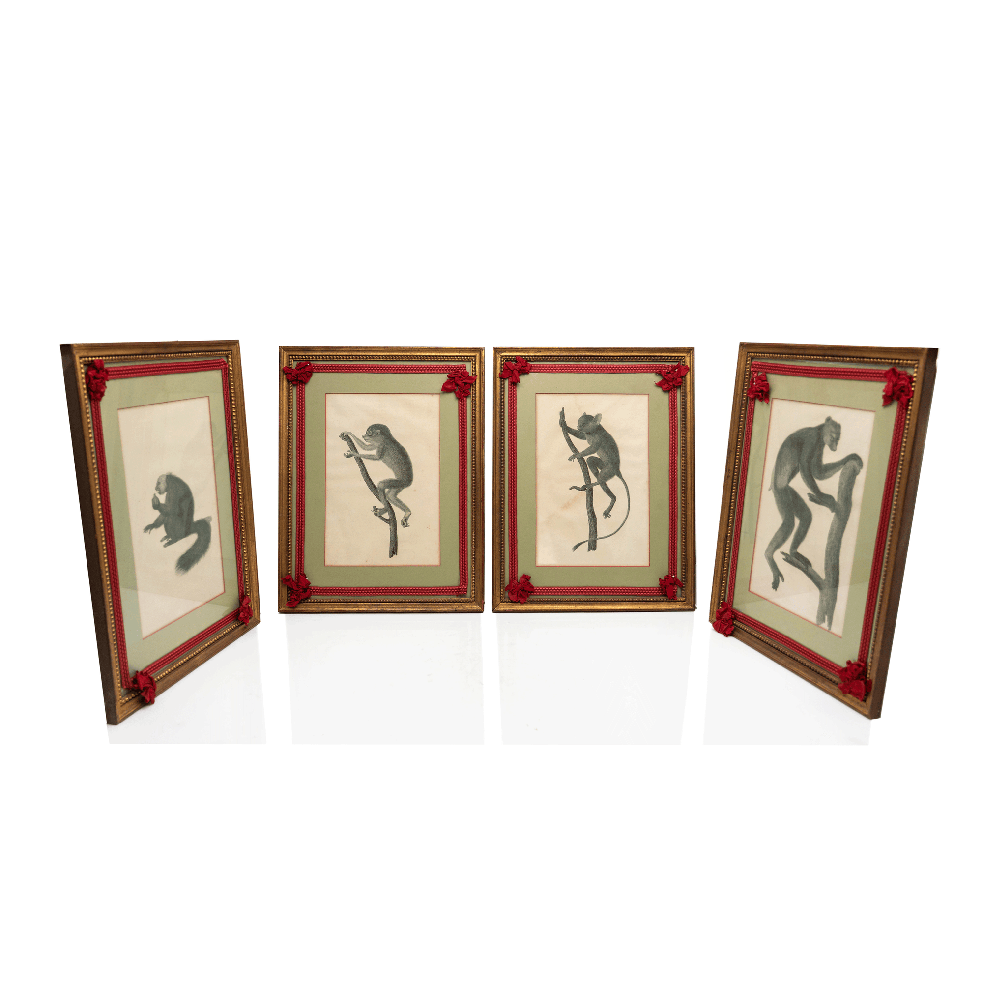 Jean Baptiste Audebert, Monkey Prints