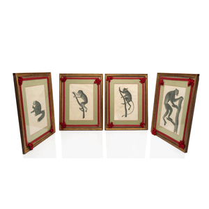 Jean Baptiste Audebert, Monkey Prints