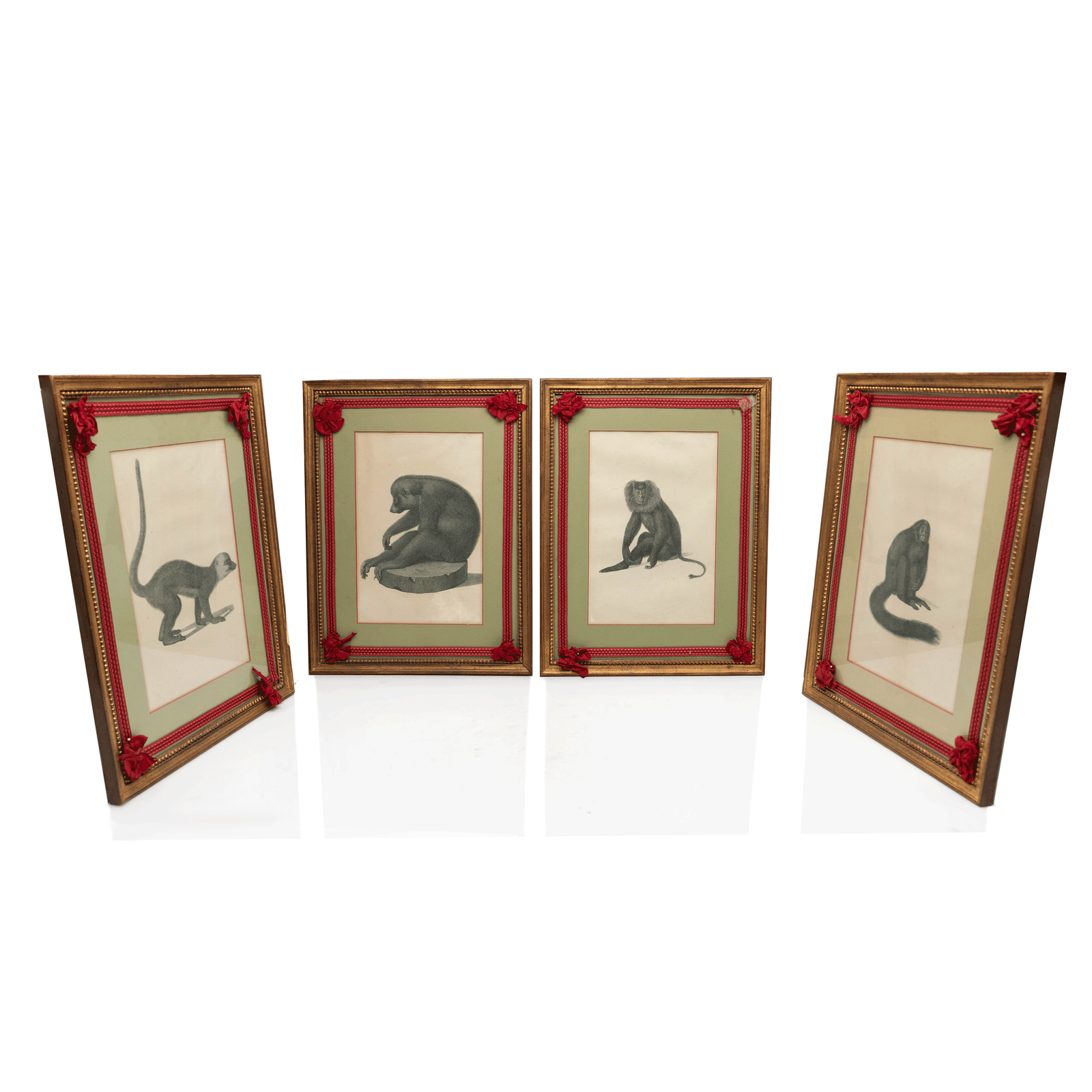 Jean Baptiste Audebert, Monkey Prints