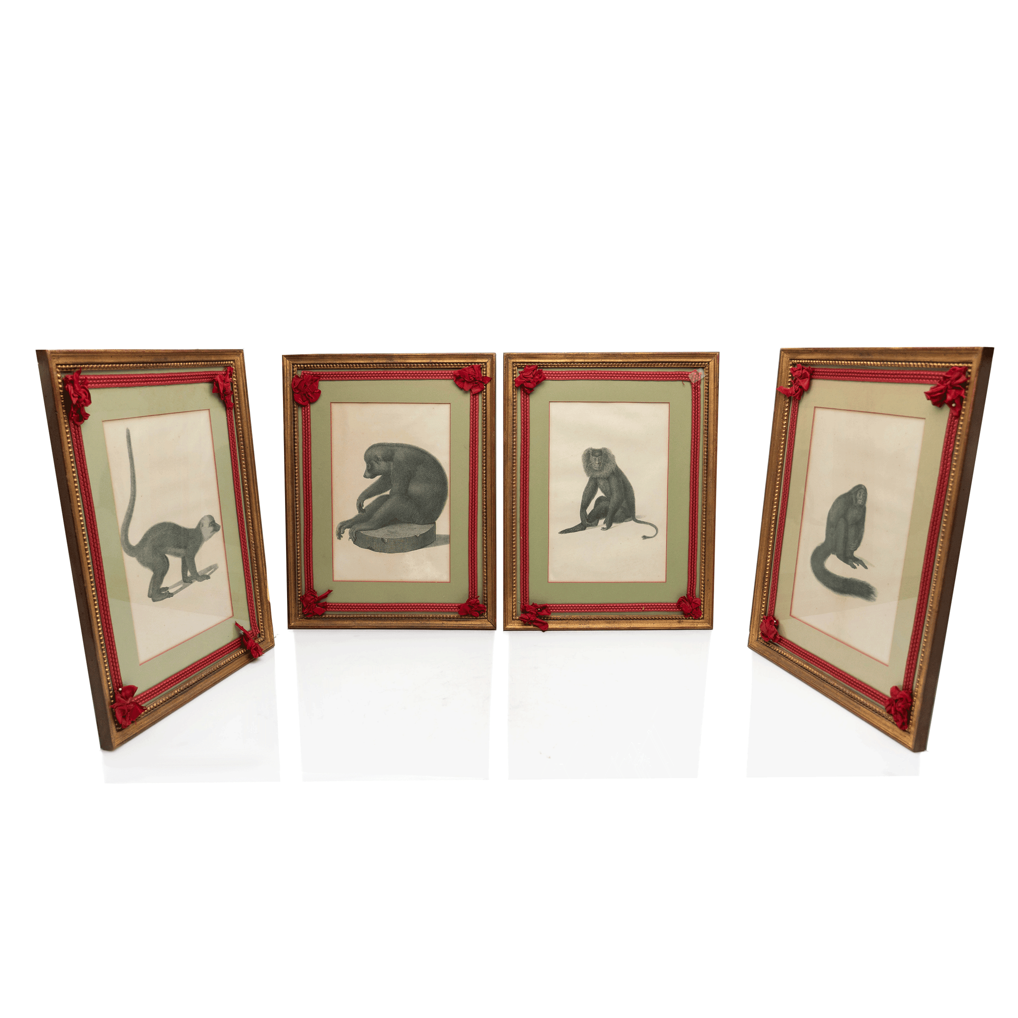 Jean Baptiste Audebert, Monkey Prints