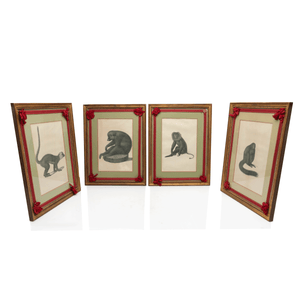 Jean Baptiste Audebert, Monkey Prints