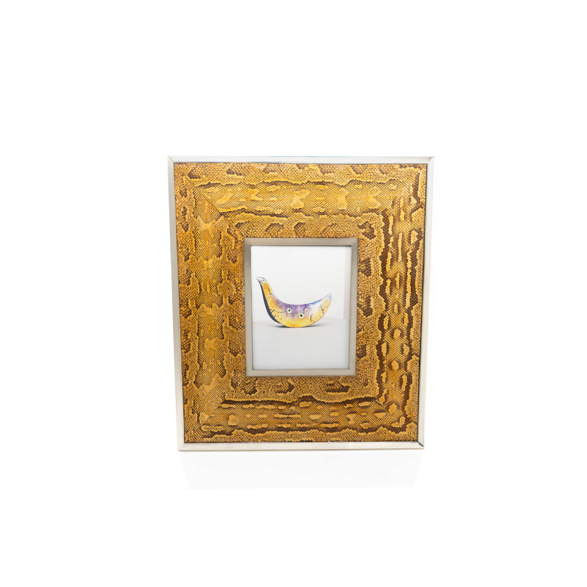 Snakeskin Frame