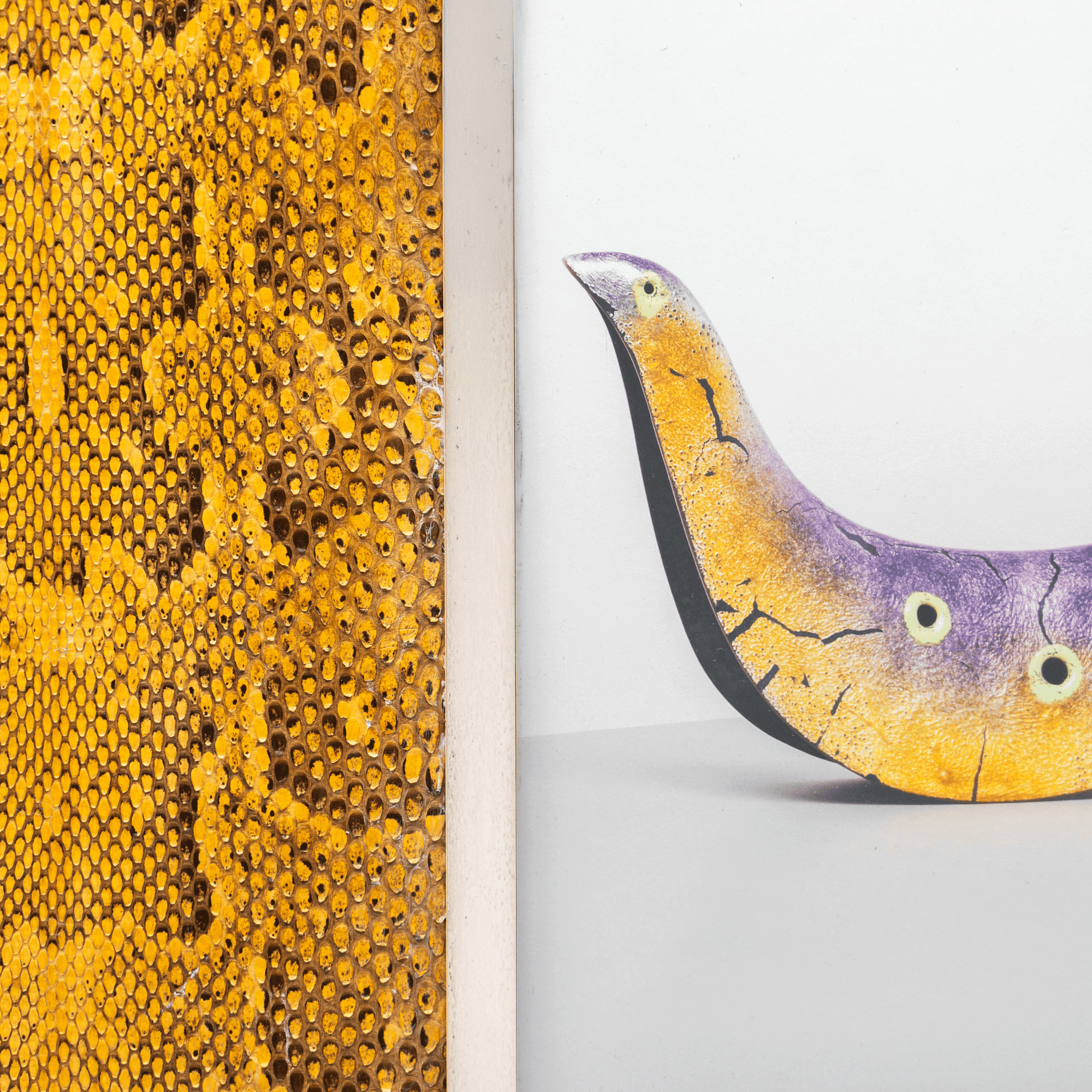 Snakeskin Frame