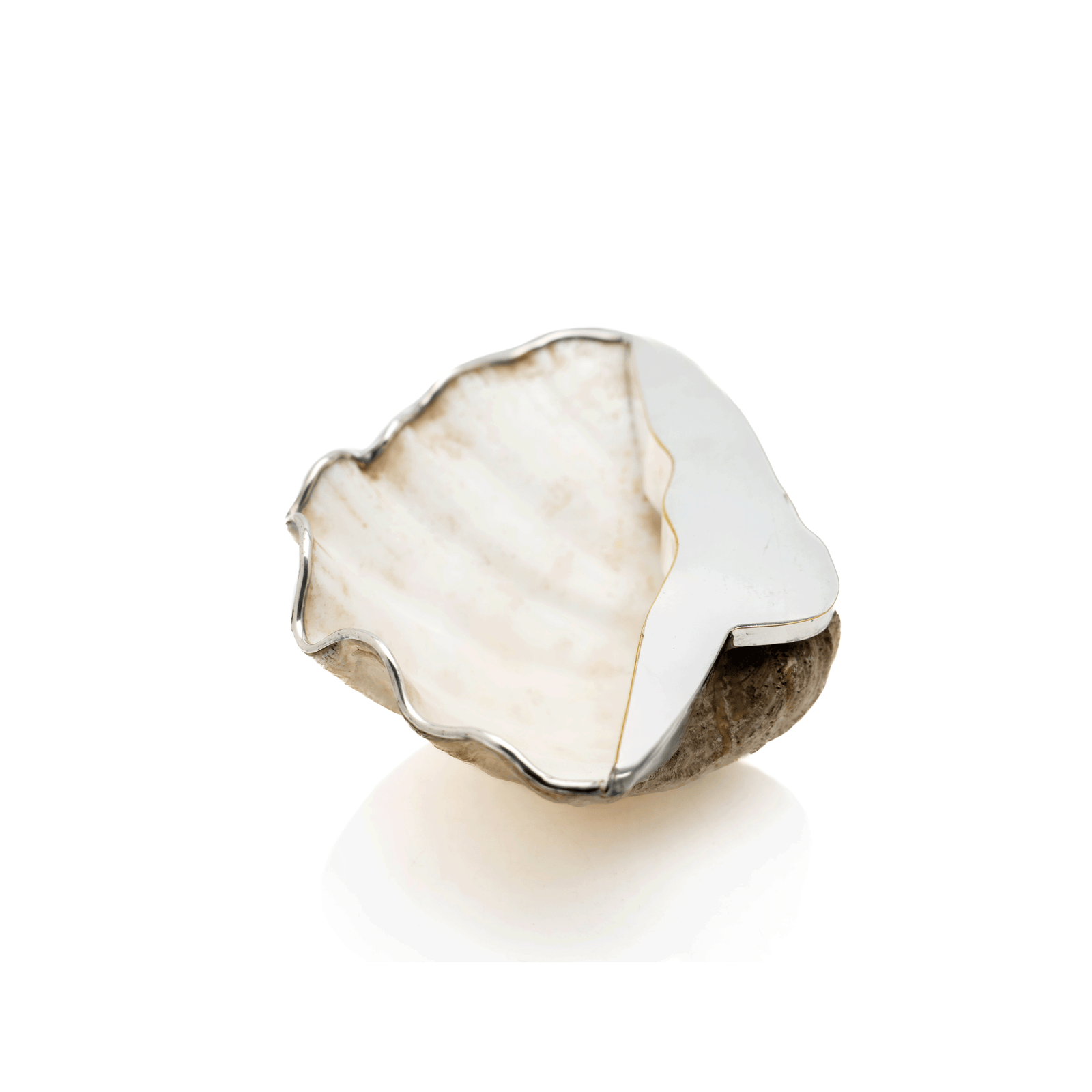Shell Catchall, Silver Accent