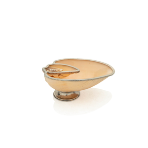 Silver Mounted Shell, 1950's