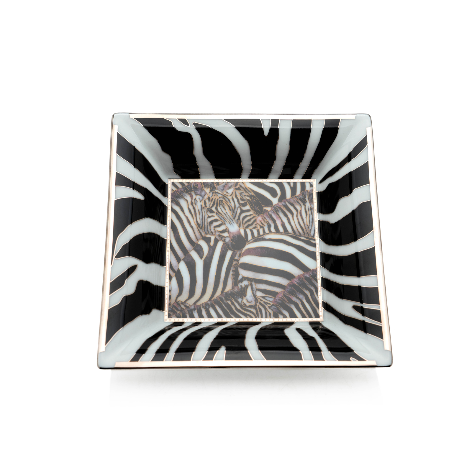 Patek Philippe Catchall, Zebra
