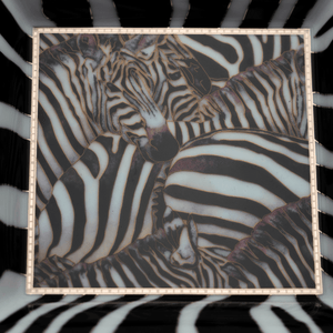 Patek Philippe Catchall, Zebra