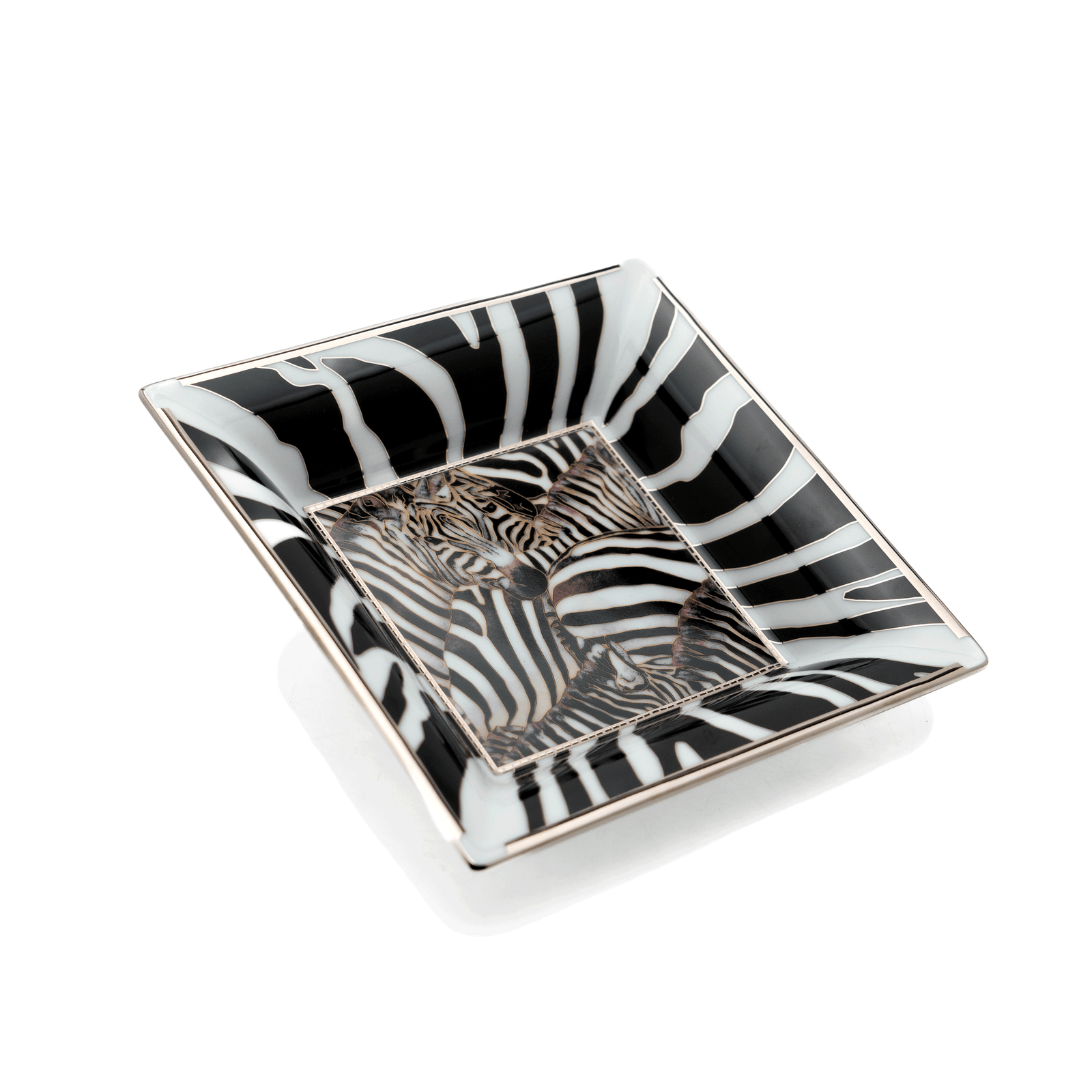 Patek Philippe Catchall, Zebra