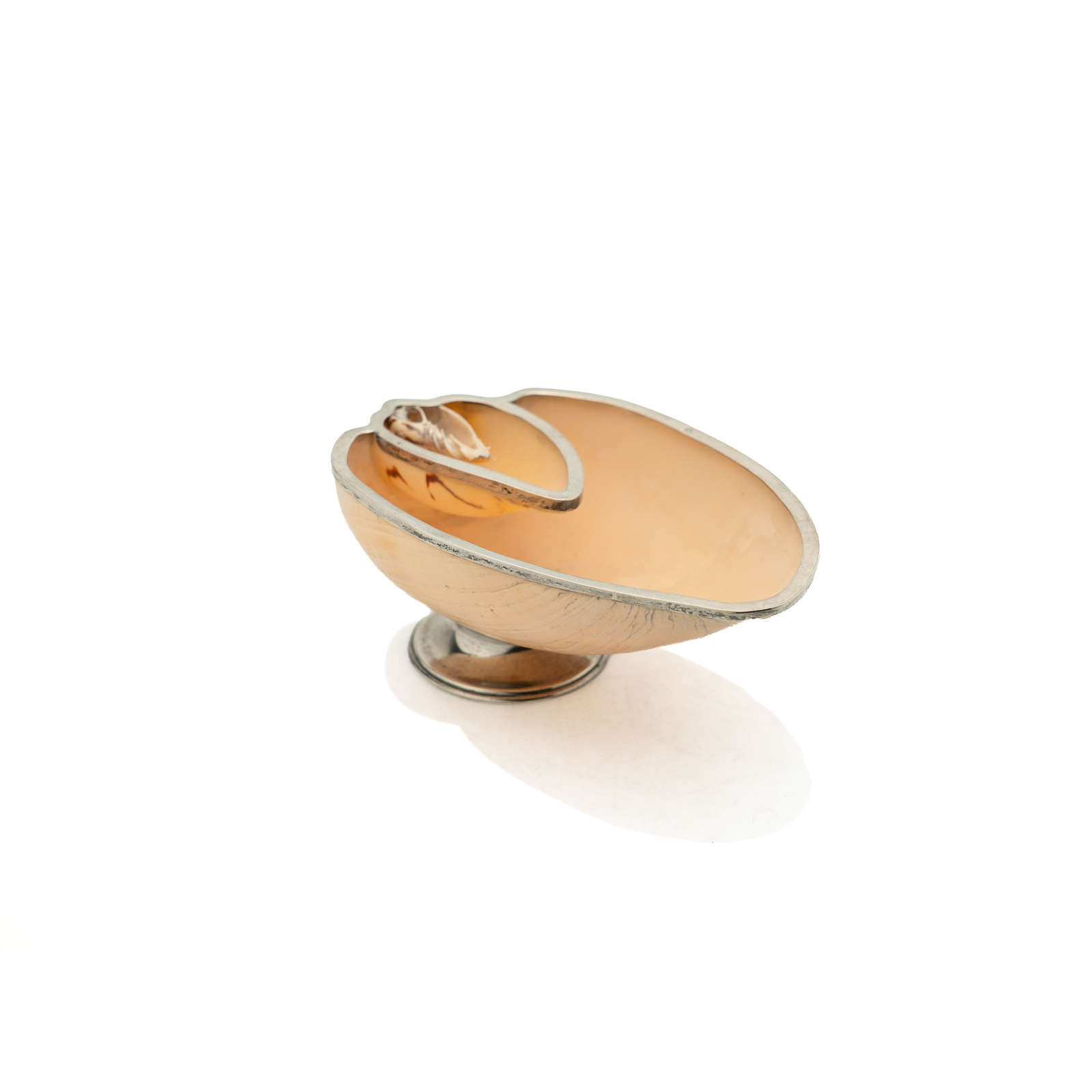 Silver Mounted Shell, 1950's