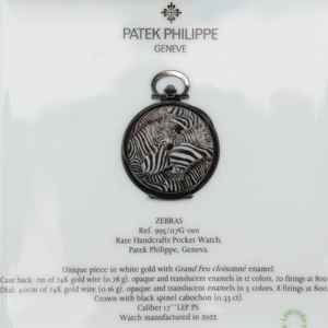 Patek Philippe Catchall, Zebra