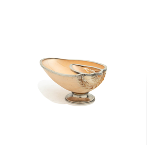 Silver Mounted Shell, 1950's