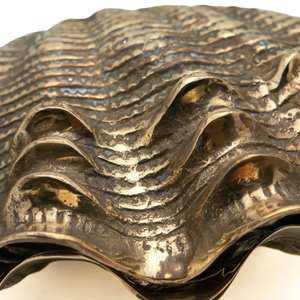 French Bronze Shell Box