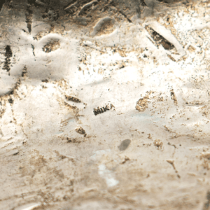 French Claw Paperweight