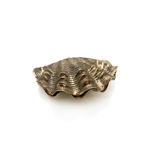 French Bronze Shell Box