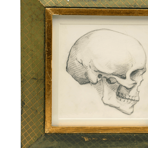 Skull Pencil Drawings Studies, 1940s