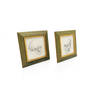 Skull Pencil Drawings Studies, 1940s