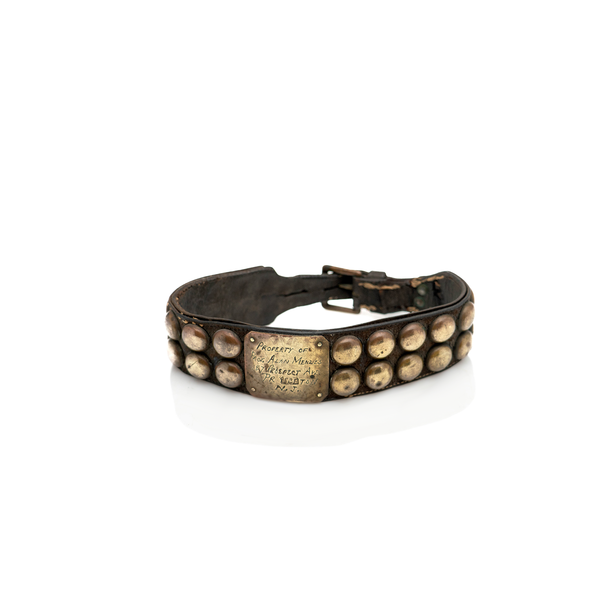 Turn of the Century Mastiff Dog Collar