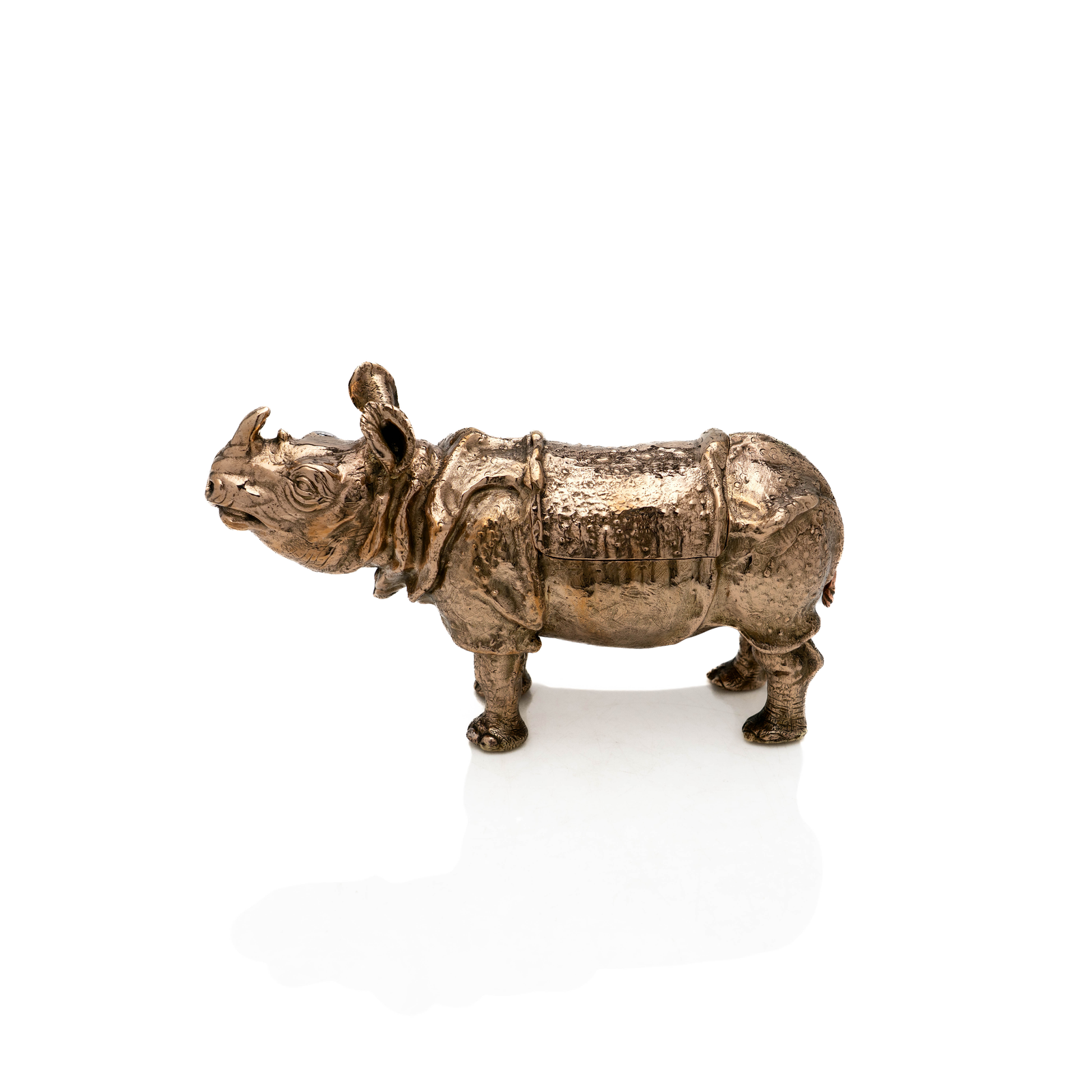 French Bronze Rhino Box