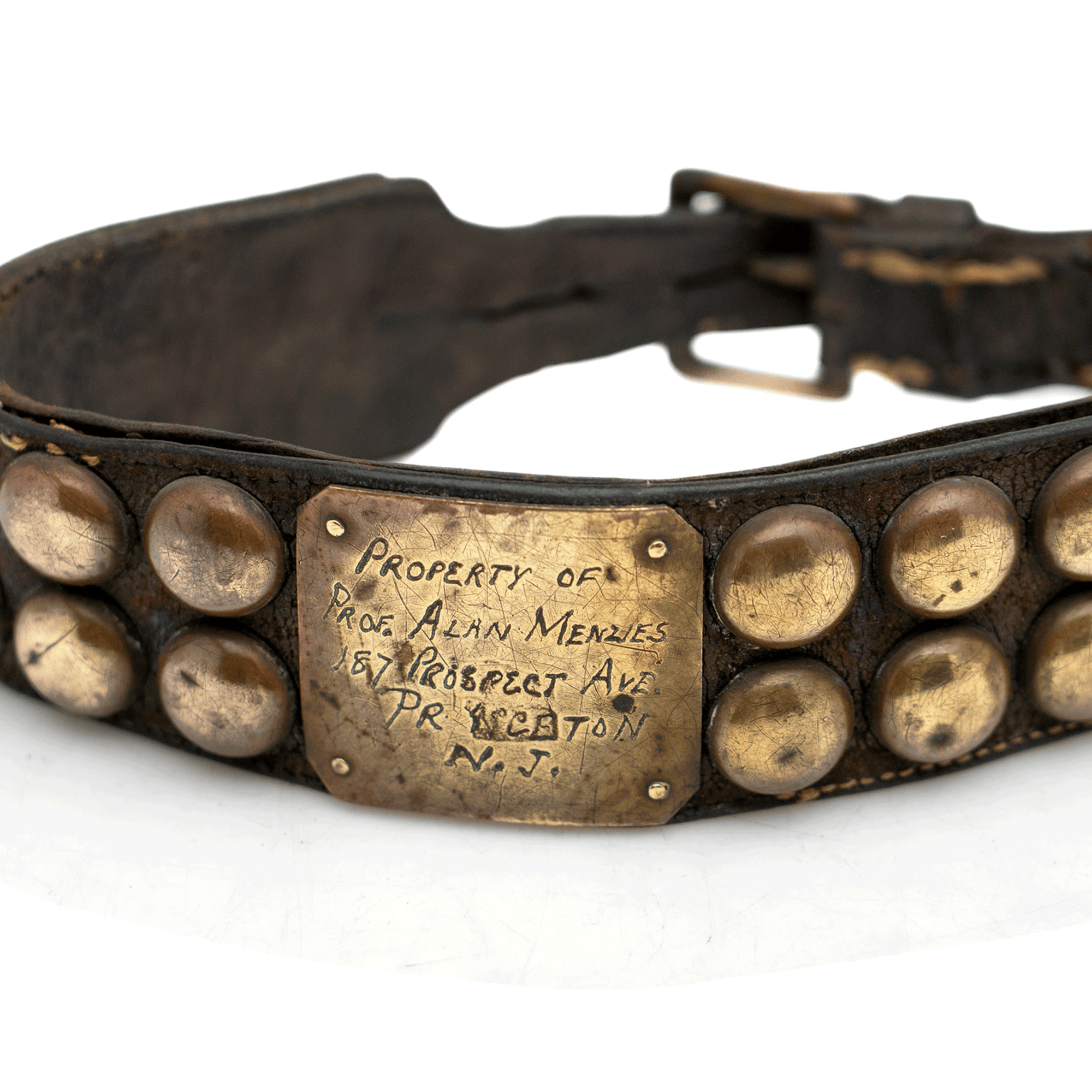 Turn of the Century Mastiff Dog Collar