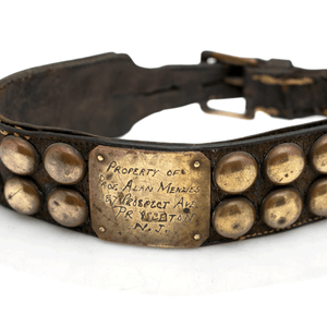 Turn of the Century Mastiff Dog Collar
