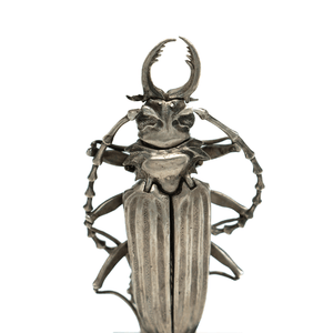 Articulated Silver Insect Sculpture