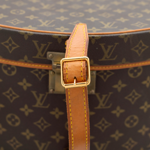 Louis Vuitton Luggage