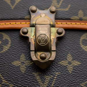 Louis Vuitton Luggage
