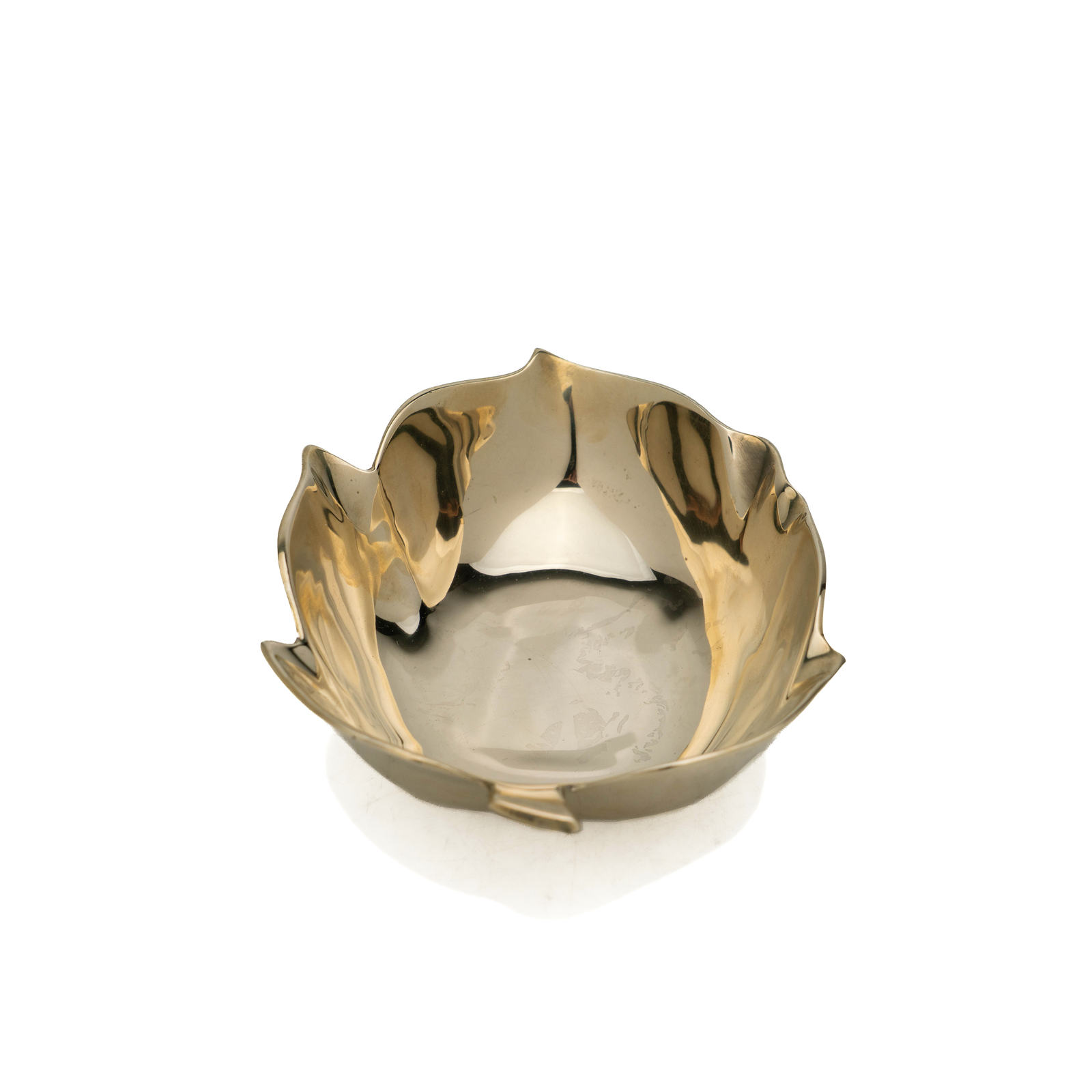 Christian Dior Leaf Catchall