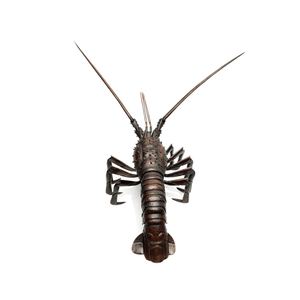 Articulated Wooden Lobster, Japanese