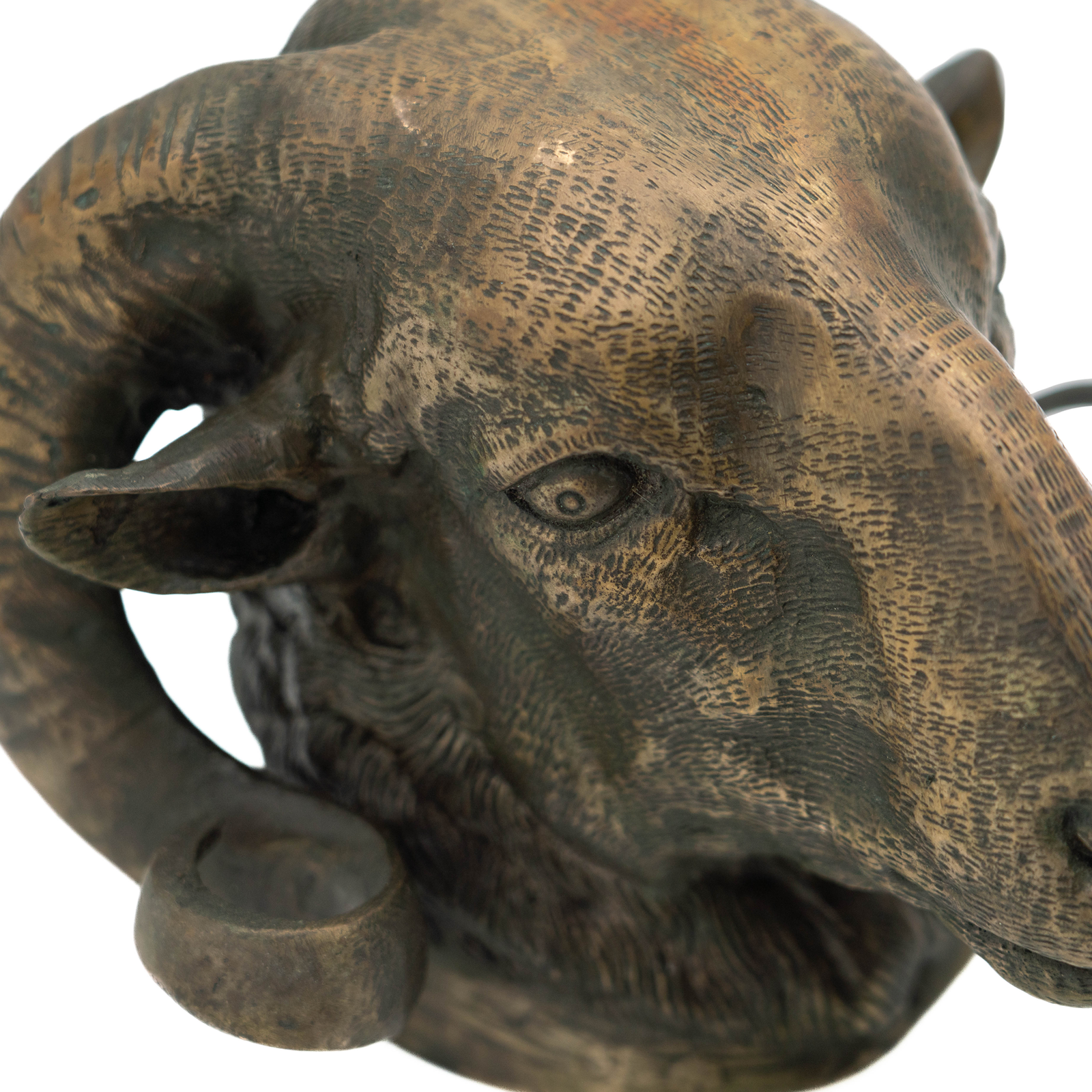 Ram Head Bookends