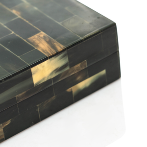 Tessellated Horn Box