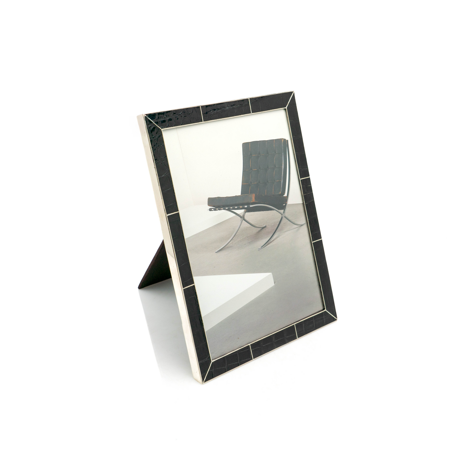 Tiffany & Co Alligator and Sterling Frame