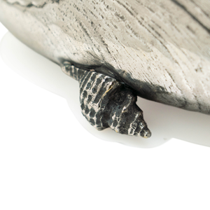 French Shell Trays