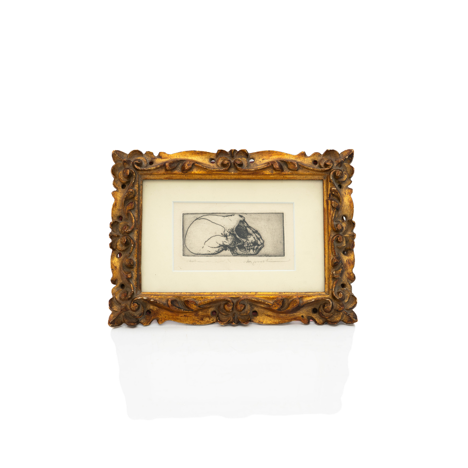 Skull Drawing, Charcoal & Ink