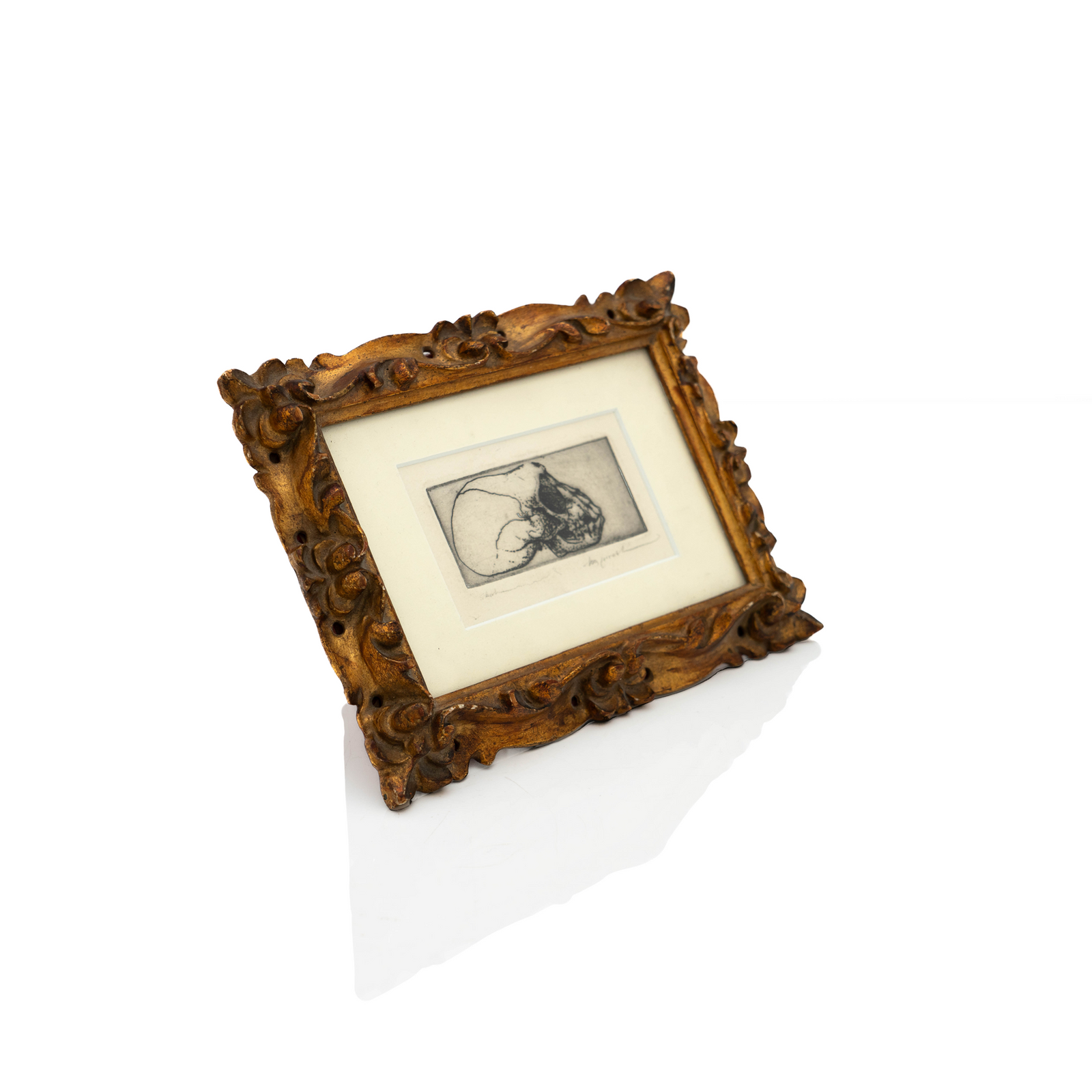 Skull Drawing, Charcoal & Ink