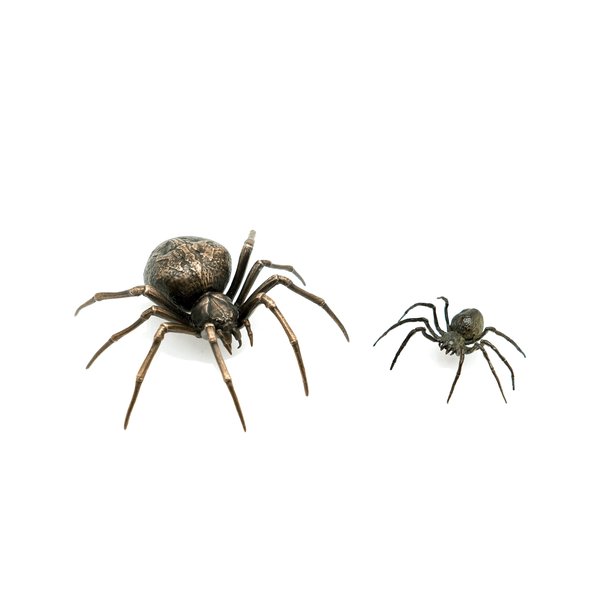 Hyperrealistic Bronze Spiders