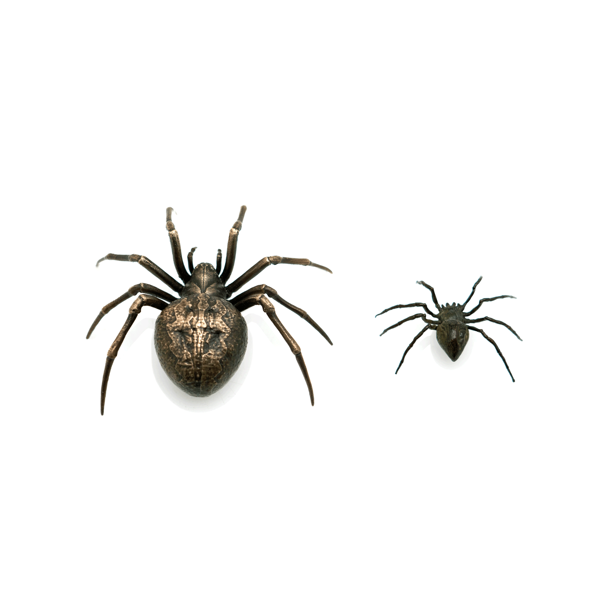 Hyperrealistic Bronze Spiders