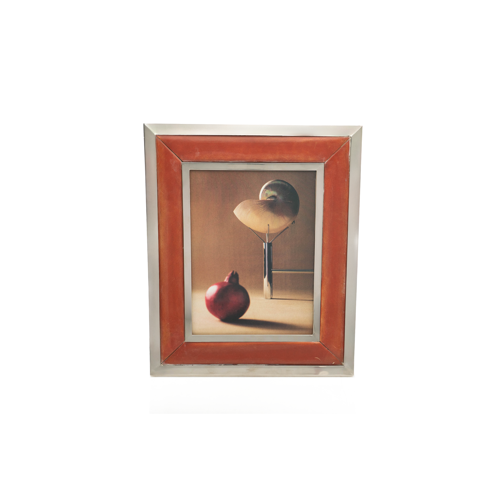 Nickel & Leather Frame