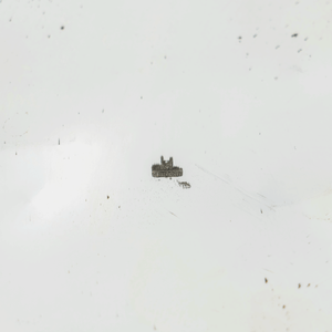 French Art Deco Ice Bucket