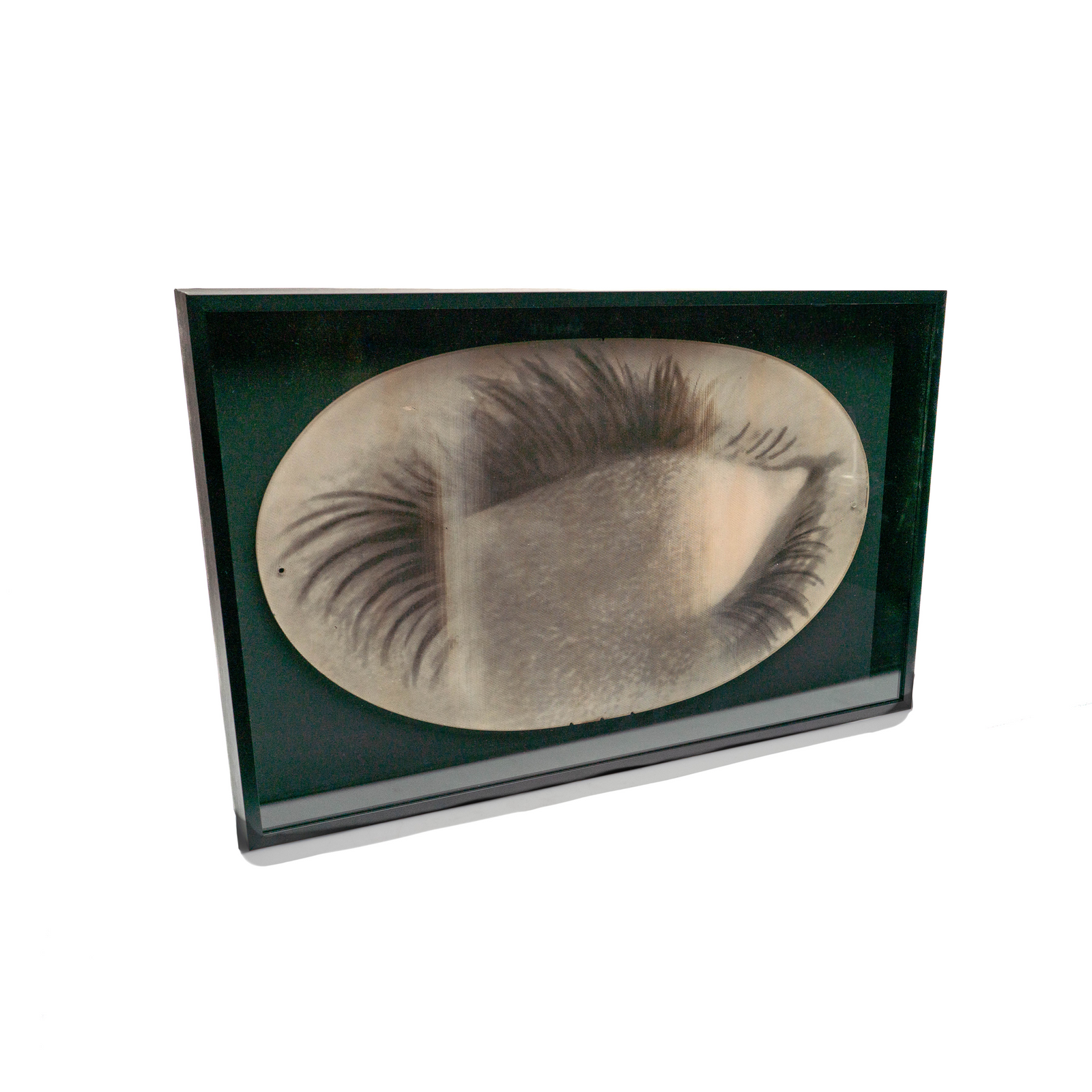 Blinking Eye Lenticular, Bette Davis