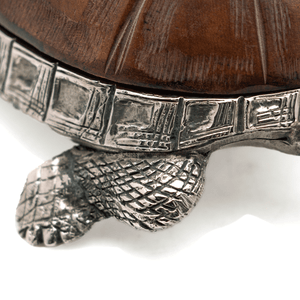 Tortoise Box, Silvered Bronze