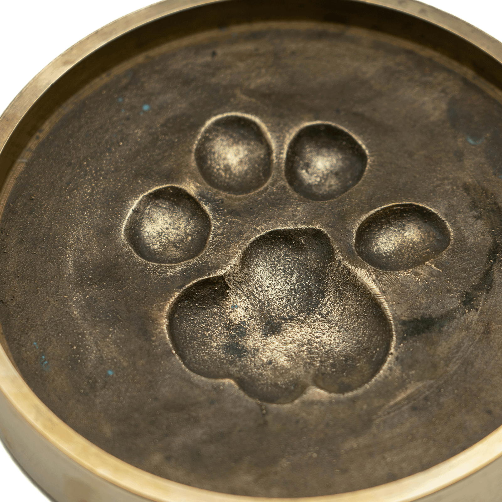 Bronze Vide Poche, Paw Print